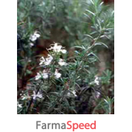 msa rosmarinus offic 50ml