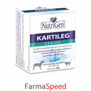 kartileg senior 60tav