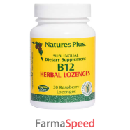 vitamina b12 1000 mcg subl