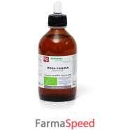 rosa canina mg bio 200ml