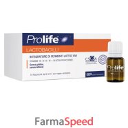 prolife lactobacilli 10fl 8ml