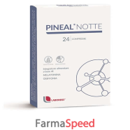 pineal notte 24 compresse