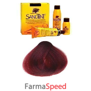 sanotint tintura capelli 22