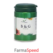 b&g 60cps