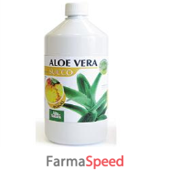 aloe vera succo ananas 1l