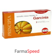 garcinia estratto secco 60 compresse 25,2 g