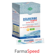diurerbe forte 24 pocket drink limone 480 ml