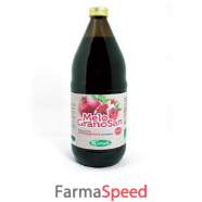 melogranosan succo melogra 1lt