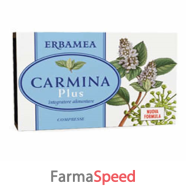 carmina plus 24cpr 19,2g