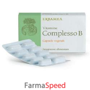 vitamine complesso b 24cps veg