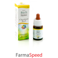 chestnut bud gtt 10ml