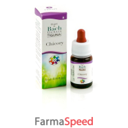 chicory gun gtt 10ml