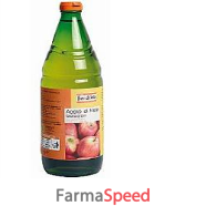 aceto mele non pastorizzato 750 ml