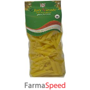 glutiniente penne rig inte400g