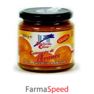 composta di arance bio 320g