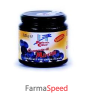 composta di mirtilli bio 320g