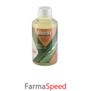 aloe-sy gusto frutta 1000ml