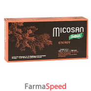 micosan energy 40 capsule 19 g