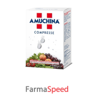 amuchina compresse 1 g 24 pezzi