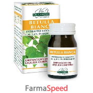 betulla bianca estratto titolato 60 pastiglie