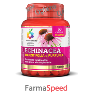 colours of life echinacea 60 capsule 500 mg