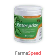 enter-prize 450 g