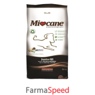miocane junior pollo 10kg