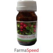 dr pock cranberries/d-man50cps