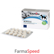 immodula 60 compresse