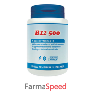 b12 500 100 capsule vegetali