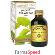 faggio 100ml analco gemmo 10+