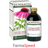 echinacea estratto integrale 200 ml