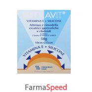 sifravit placca silicone 15x10 