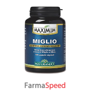 maximum miglio 100cps