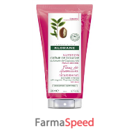 klorane crema doccia fiore di ribes 200 ml