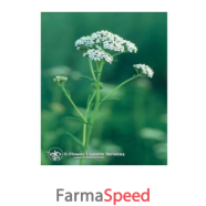 yarrow ess 7,4ml calf