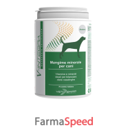 v-integra cane anziano 200 g