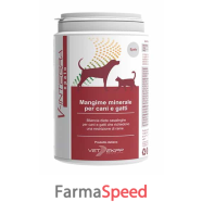 v-integra epato 200 g