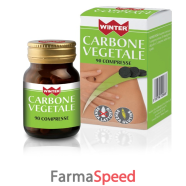 winter carbone vegetale 90cpr