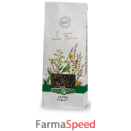 senna foglie tt 100g