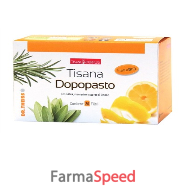naturplus tisana dopopasto 20f