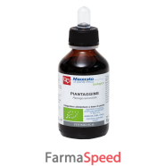 piantaggine tm bio 100ml