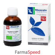 verga d'oro tm bio 50ml