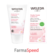 fluido viso mandorle 30ml