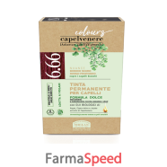 capelvenere tinta cap 6,66n bi