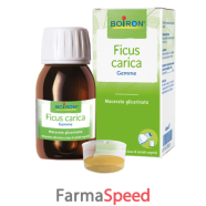 ficus carica macerato glicerico 60 ml int