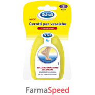 scholl cerotti per vesciche medio dita dei piedi 6 pezzi