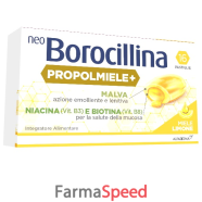 neoborocillina propolmiele+ li
