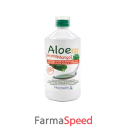 aloe 100% aroma mango 1 lt