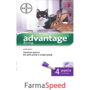 advantage 80 4pip 0,8ml spot-on 